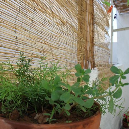 Mantra1 Villa Sozopoli Ngoại thất bức ảnh